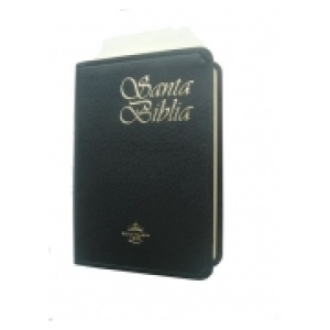Biblia RVR 025cXTI Símil piel, concordancia, canto dorado, índice.