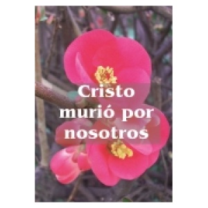 Cristo murió  por nosotros