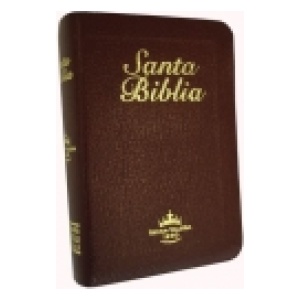 Biblias en tapa imitación piel