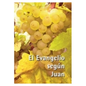 Evangelio según Juan " Version Moderna "