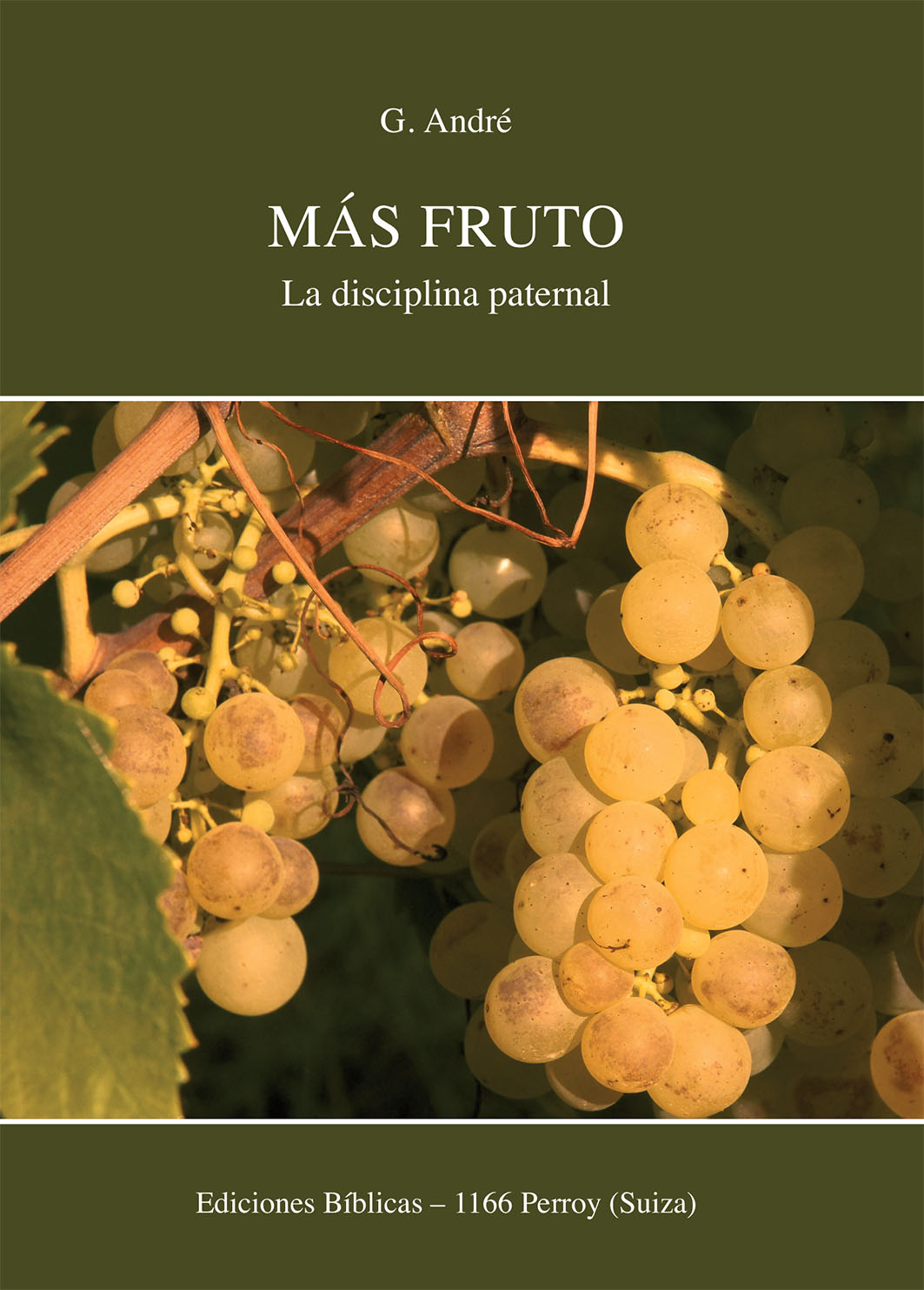 IJ - Más fruto-La disciplina paternal