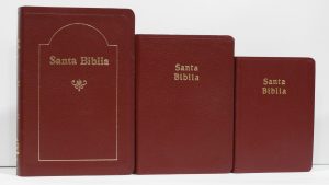 Biblia RVR 060 símil piel granate, concordancia